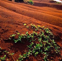 《最终幻想16》试玩版情报将于近期公布 坚决不跳票