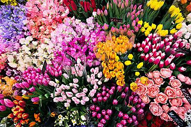 《龙珠Z卡卡罗特+新觉醒篇》登NS发售 新宣传片公布